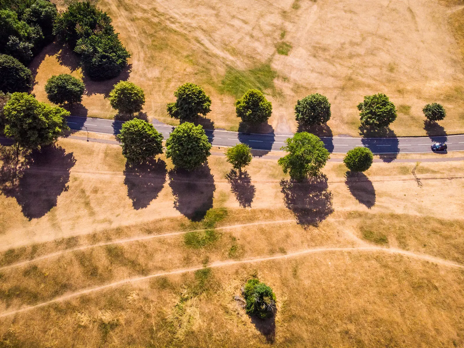 Map Impact has launched HeatView