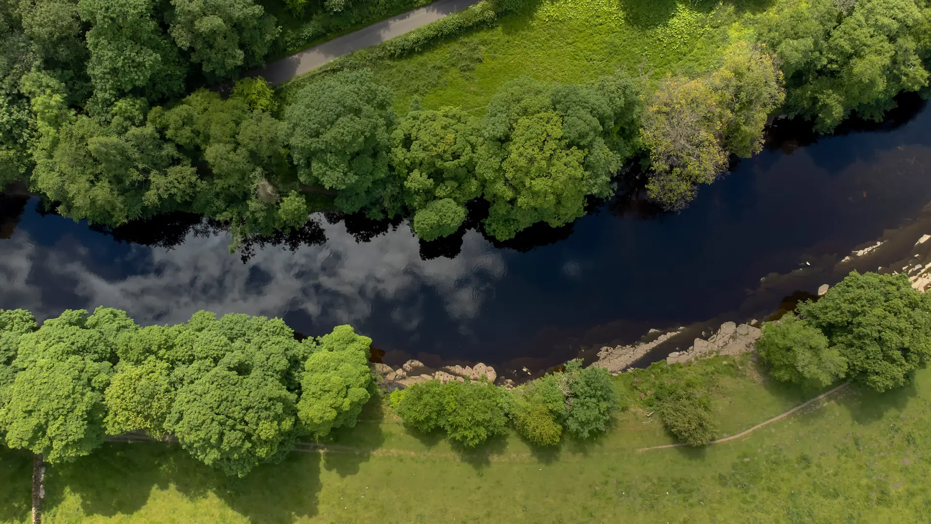 Biodiversity Net Gain: Exploring local authorities’ response to mandatory policy