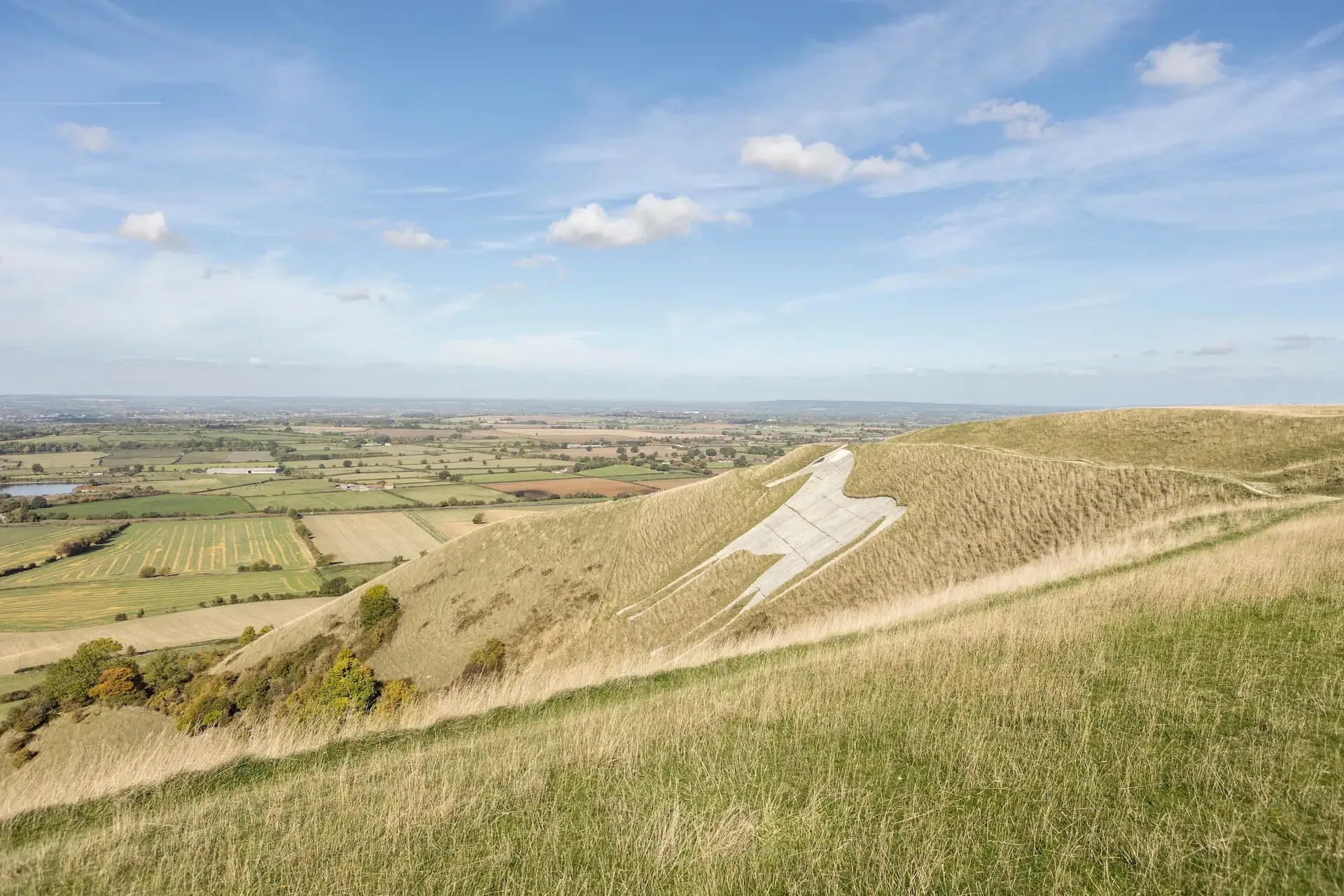 Mapping Wiltshire’s Local Nature Recovery