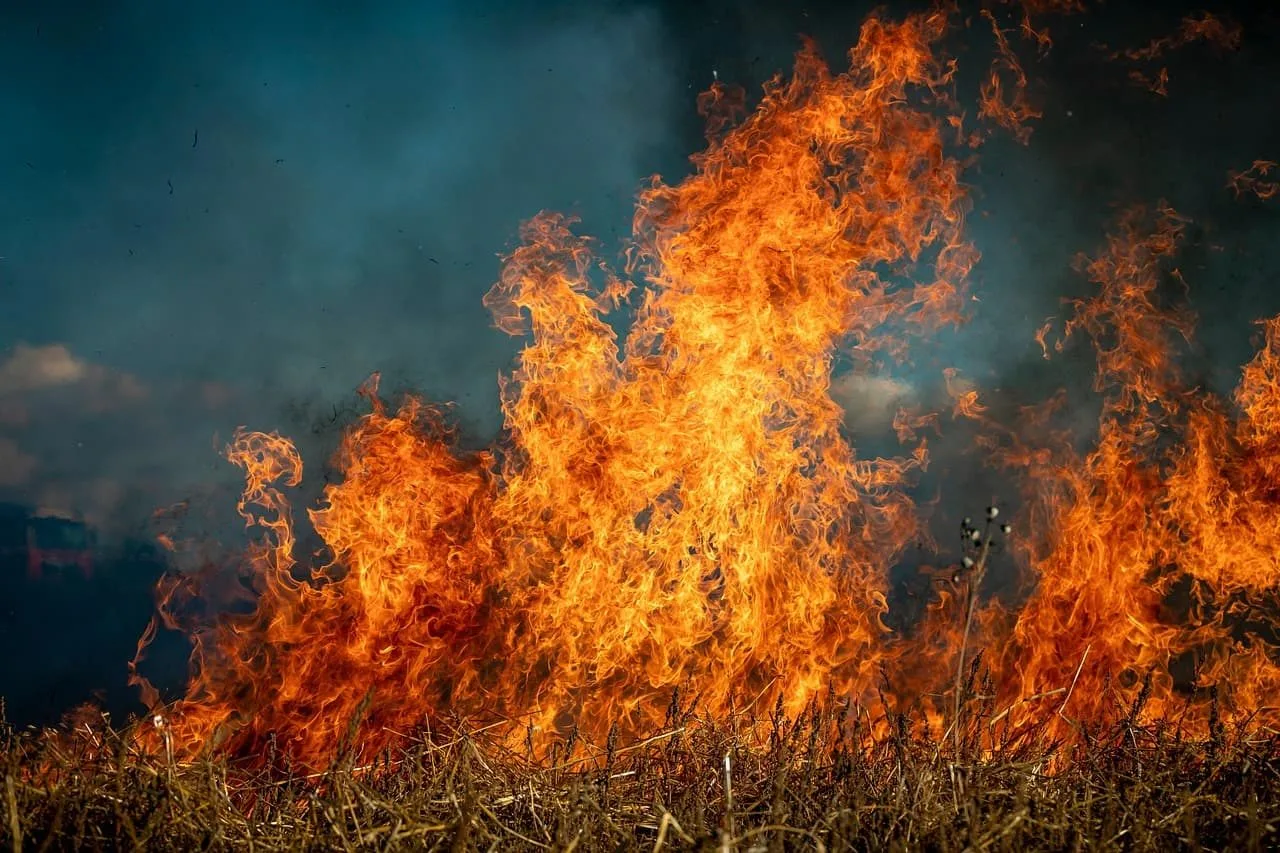 The Wennington Wildfire 3 years on