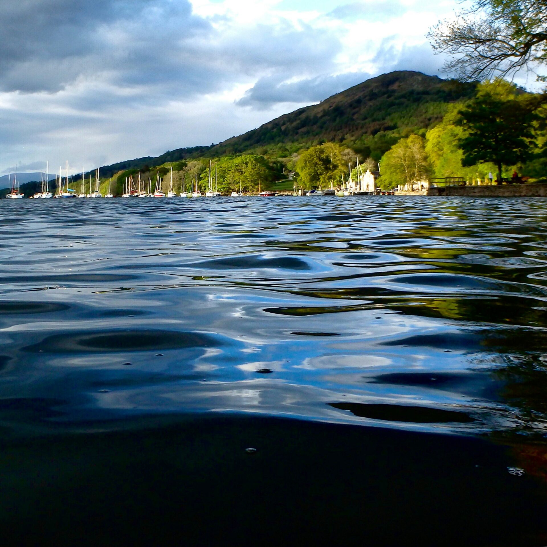 Challenging Lake Windermere’s water quality
