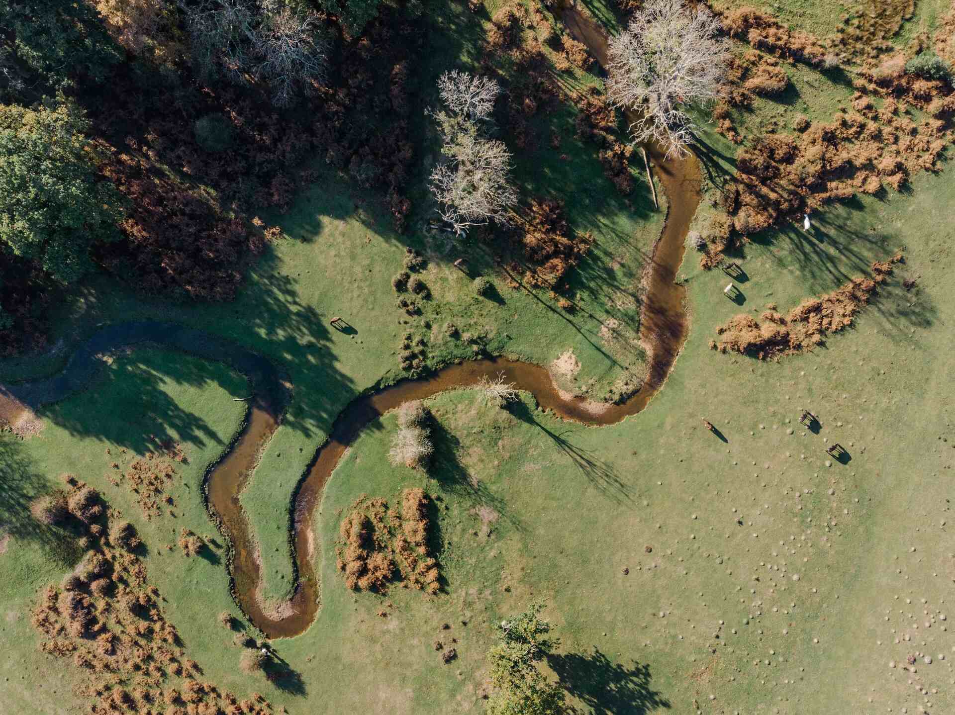 What is a Local Nature Recovery Strategy (LNRS)?
